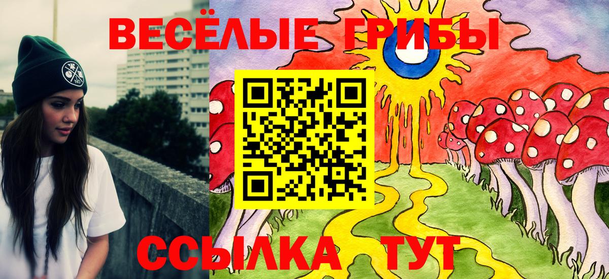 Ишимбай  Галлюциногенные грибы Psilocybine cubensis  Вход с VPN 
